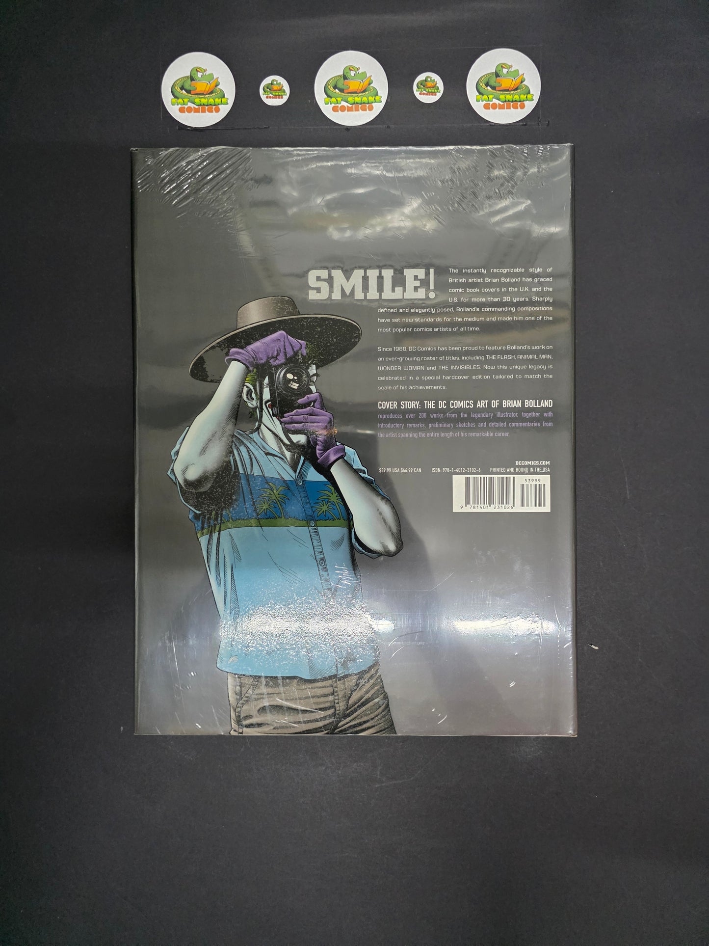 The DC Comics Art of Brian Bolland NM/MT