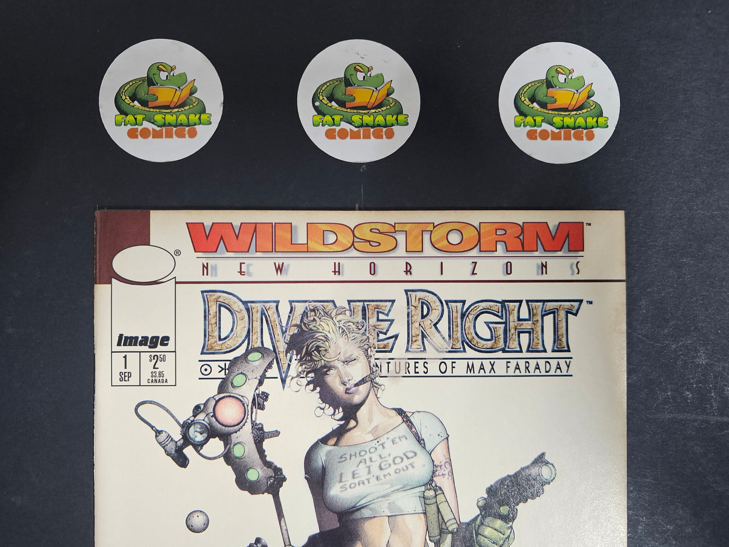 Devine Right (1998) #1 Travis Charest New Horizons Variant