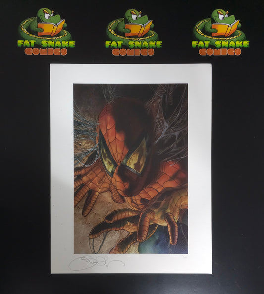 Simone Bianchi's Spider-man Signed Colored Art Print