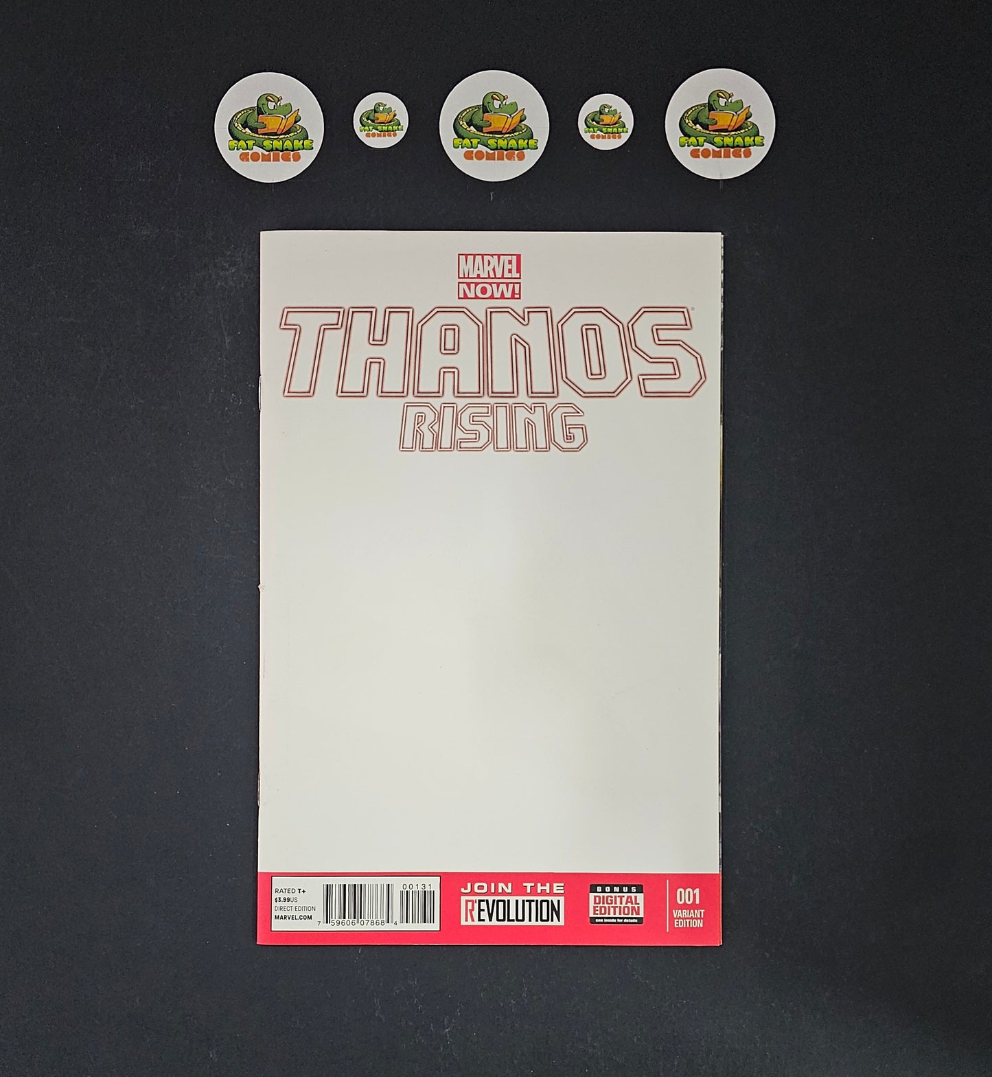 Thanos Rising (2013) #001 High Grade Simone Bianchi Blank Cover