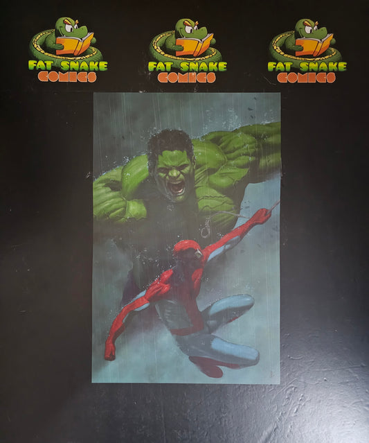 Incredible Hulk vs Spider-Man by Riccardo Federici