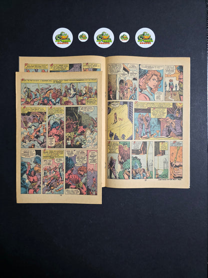 Conan The Barbarian (1973) #23 1st Appeance of Red Sonja