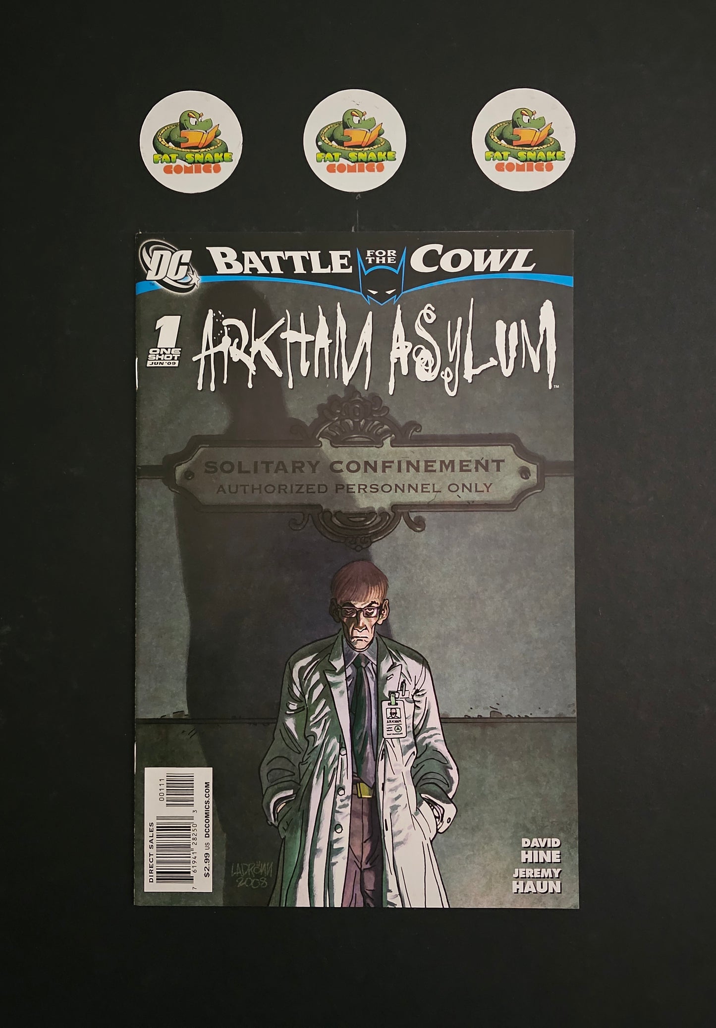 Battle for the Cowl: Arkham Asylum (2009) #1 One-Shot