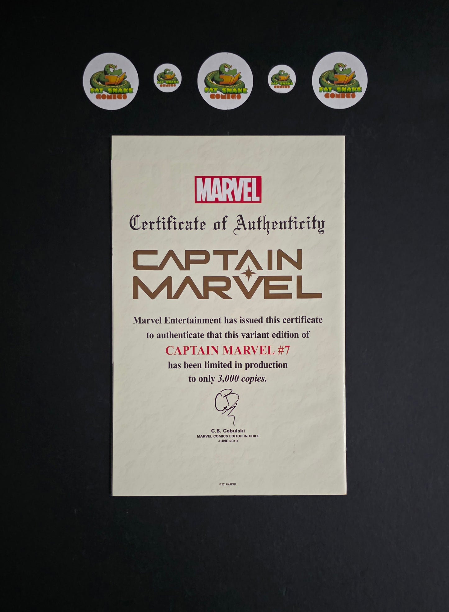 Captain Marvel (2019) SDCC Campbell Hlow-in-the-dark Exclusive