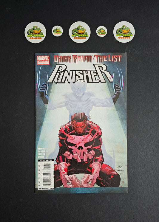 Punisher: Dark Reign The List (2009) #1 One-Shot