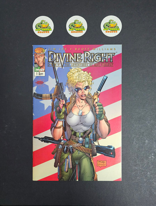 Devine Right (1998) #1 Jim Lee Variant