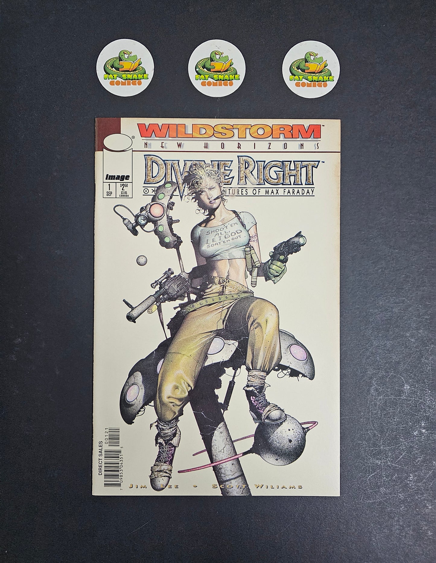 Devine Right (1998) #1 Travis Charest New Horizons Variant